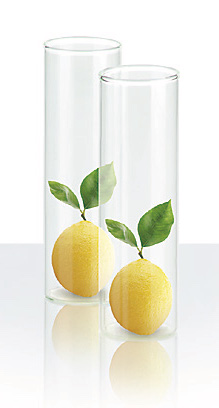 Reagenzglas_Zitrone_219x408