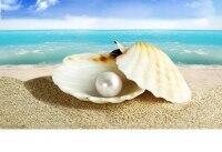 Ein Meer aus Schönheit!