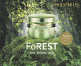 Phyris_Forest_video